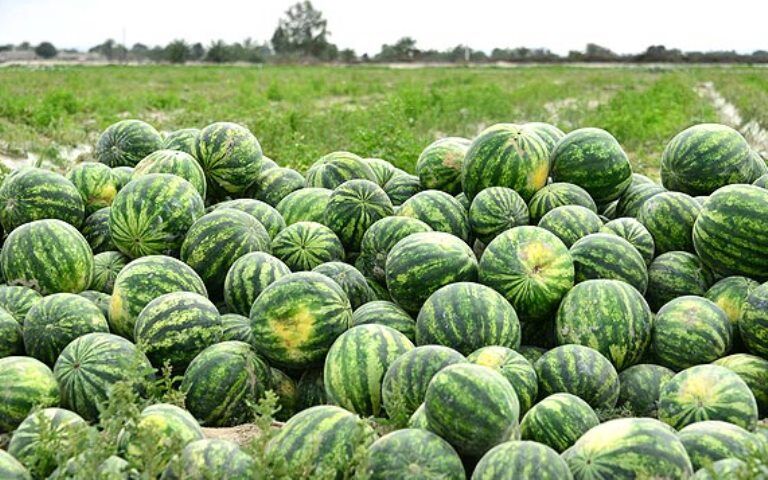 معاونت حقوقی و امور مجلس صدا وسیما