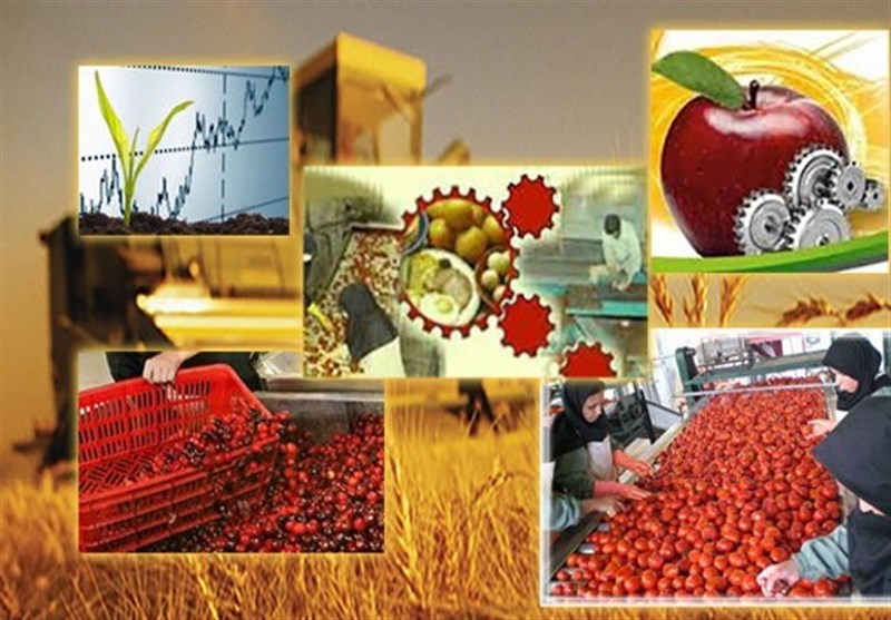 معاونت حقوقی و امور مجلس صدا وسیما