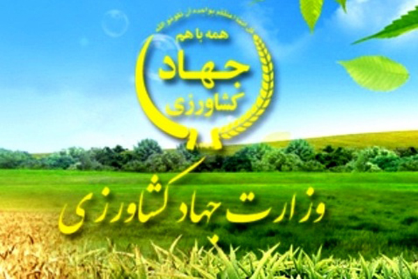 معاونت حقوقی و امور مجلس صدا وسیما
