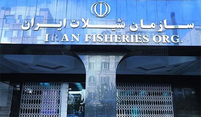 معاونت حقوقی و امور مجلس صدا وسیما