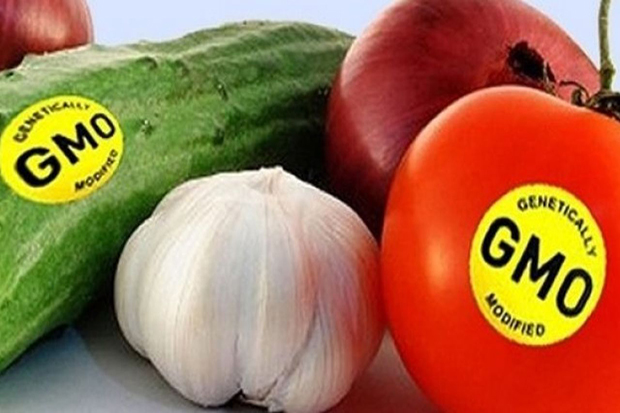 معاونت حقوقی و امور مجلس صدا وسیما