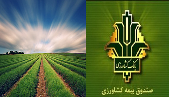 معاونت حقوقی و امور مجلس صدا وسیما