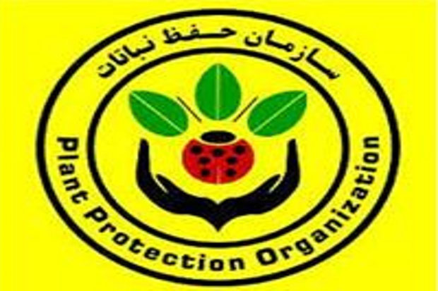 معاونت حقوقی و امور مجلس صدا وسیما