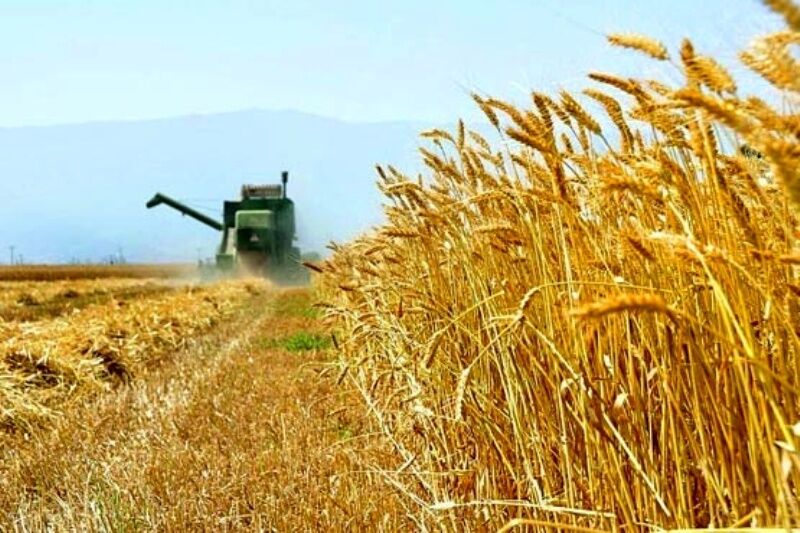 معاونت حقوقی و امور مجلس صدا وسیما