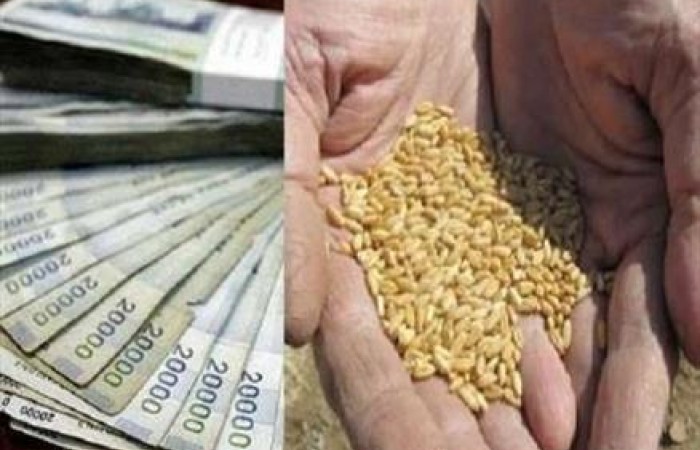 معاونت حقوقی و امور مجلس صدا وسیما