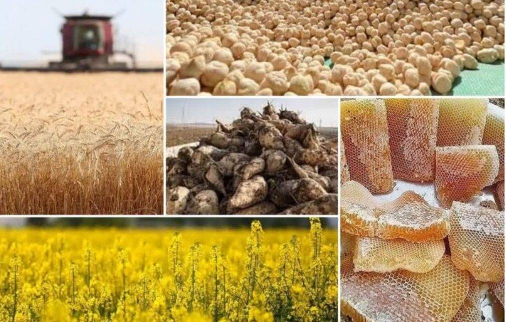 معاونت حقوقی و امور مجلس صدا وسیما