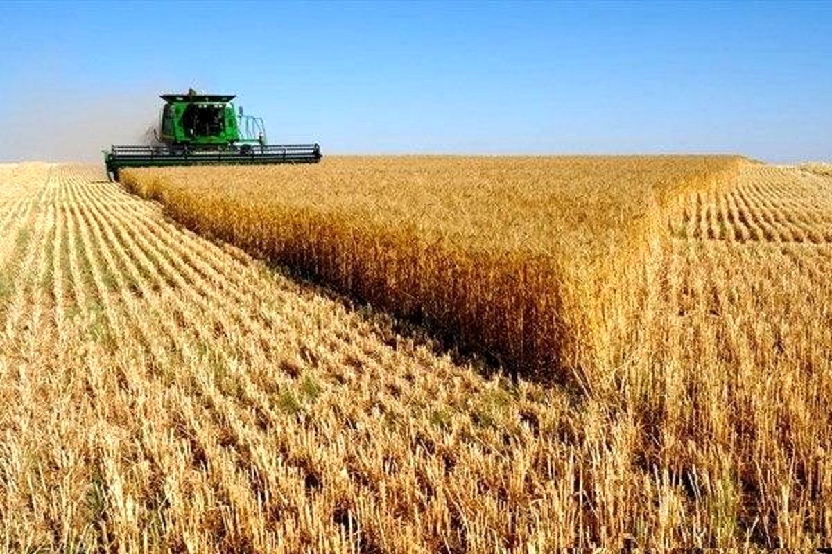 معاونت حقوقی و امور مجلس صدا وسیما