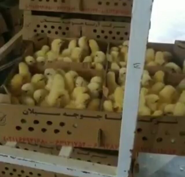 معاونت حقوقی و امور مجلس صدا وسیما