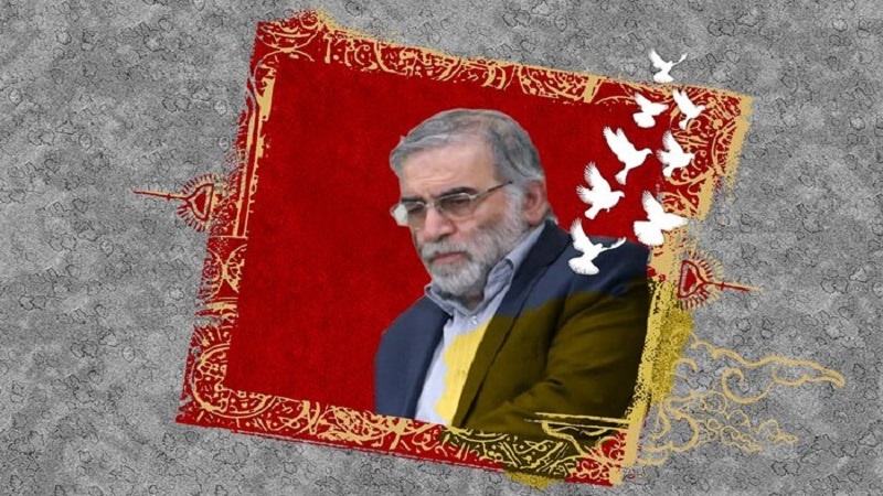 معاونت حقوقی و امور مجلس صدا وسیما