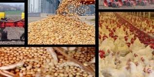 معاونت حقوقی و امور مجلس صدا وسیما