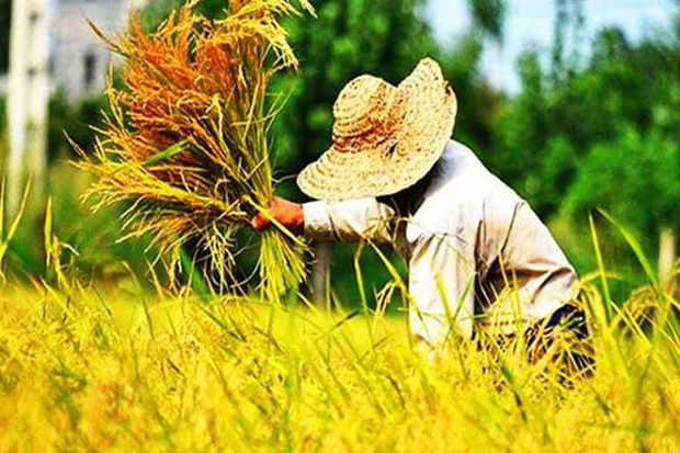 معاونت حقوقی و امور مجلس صدا وسیما